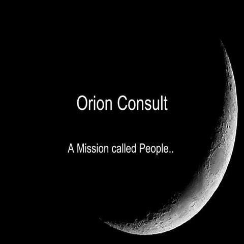 Orion Consult