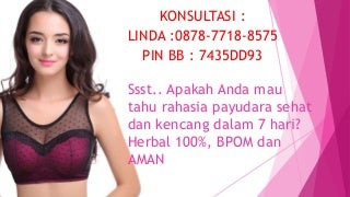 0878-7718-8575 (XL), PENGENCANG PAYUDARA INDAH DARI BOYKE