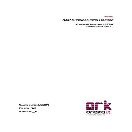 SAP Business Intelligence - Autorizaciones SAP BW 7