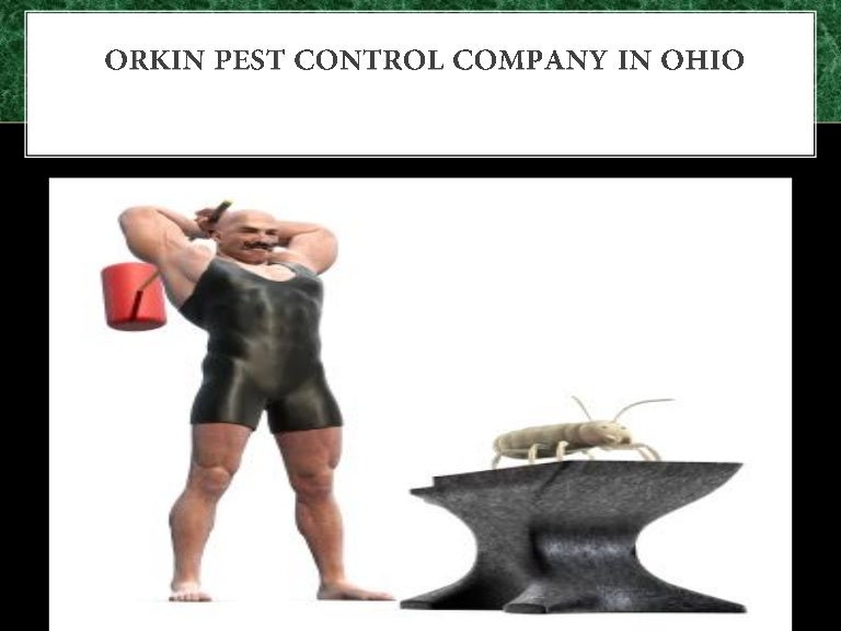 Orkin pest control company in ohio