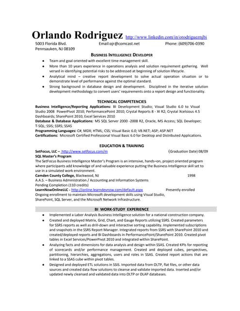 Bi Developer Resume