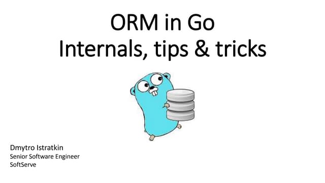 ORM in Go. Internals, tips & tricks