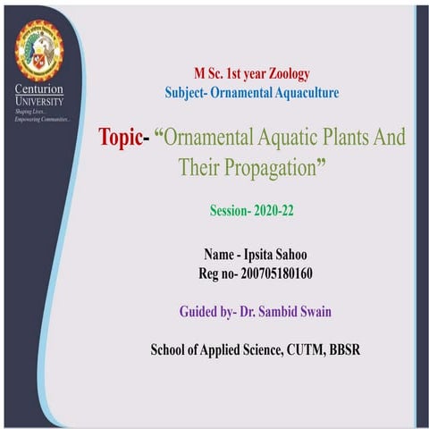 Ornamental aquatic plants and their propagation