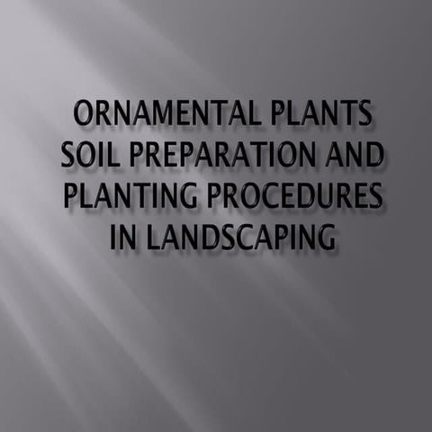 plants soil preparation and planting procedure in landscaping