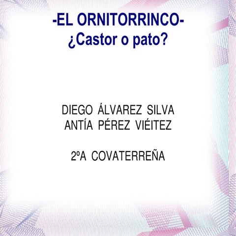 Ornitorrinco | PDF
