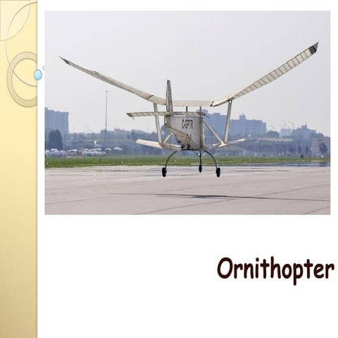 Ornithopter flying wing mecahnism