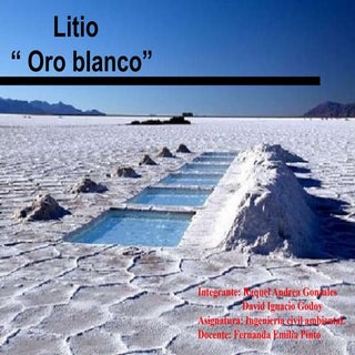 Oro blanco litio