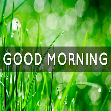 Orofacial musculatue