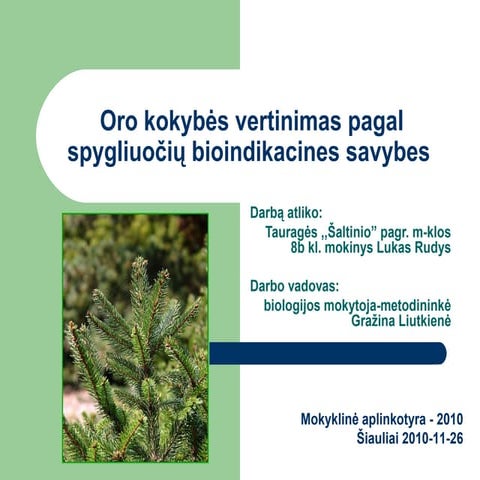 Oro kokybės tyrimas3