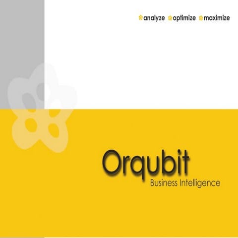 Orqubit Business Intelligence
