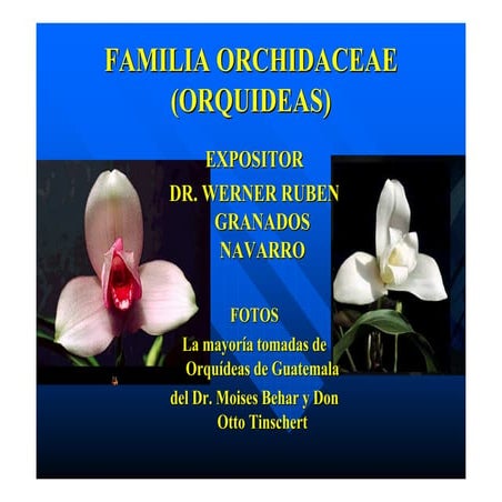 Orquideas