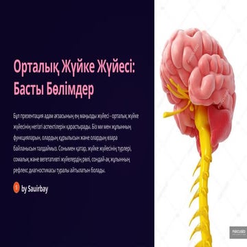 Су қысымымен мастурбацияны қалай жасауға болады