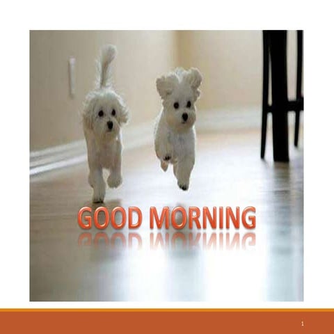 Orthodontic diagnosis