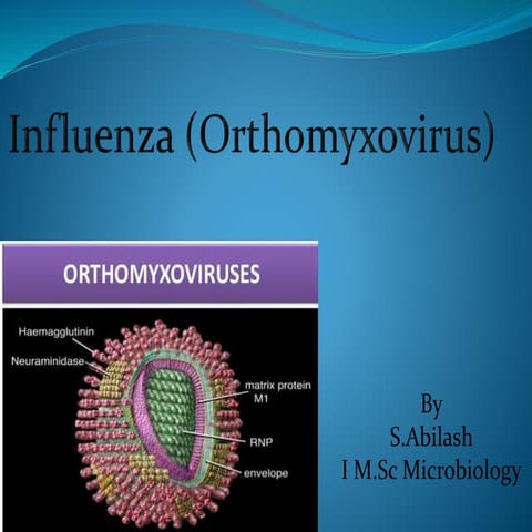 Orthomyxovirus 