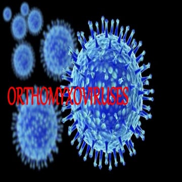 Orthomyxoviruses...