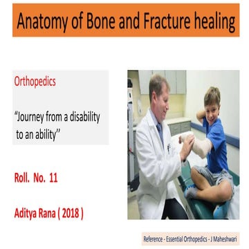 Anatomy of bone, General orthopedics and fracture healing