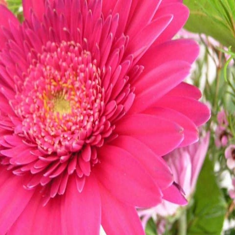 Ortograpiyang pambansa