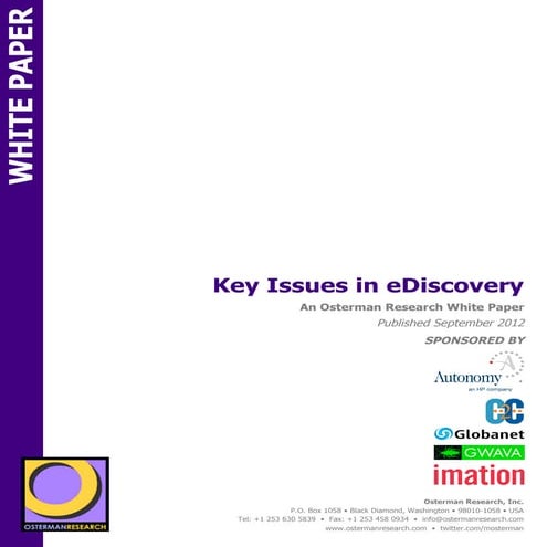 Key Issues in eDiscovery