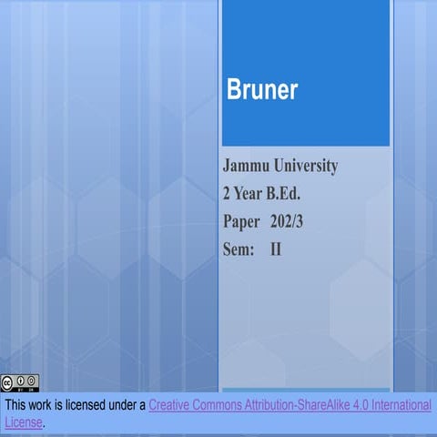 Bruner: Introduction