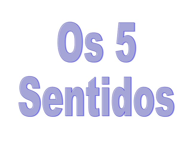 Os 5 Sentidos