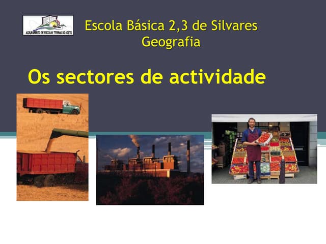 Os sectores-de-actividade