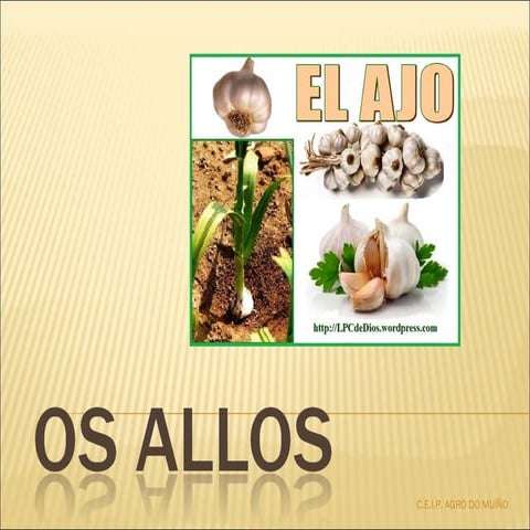 Os allos