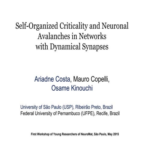 SOC neunoral networks 