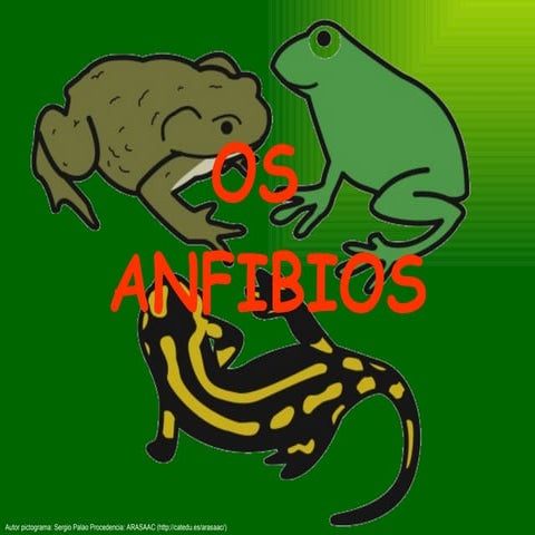 Os anfibios