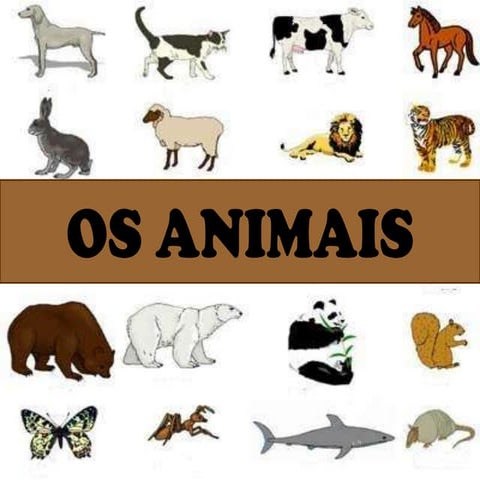 Os animais