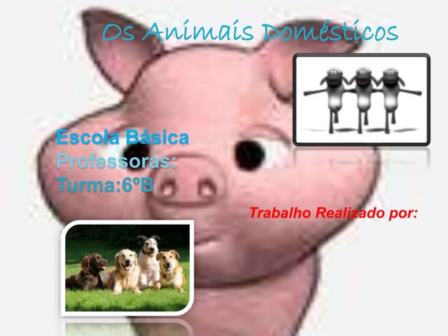Os Animais Domésticos