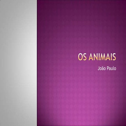 Os Cães
