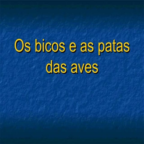 Os bicos e_as_patas_das_aves