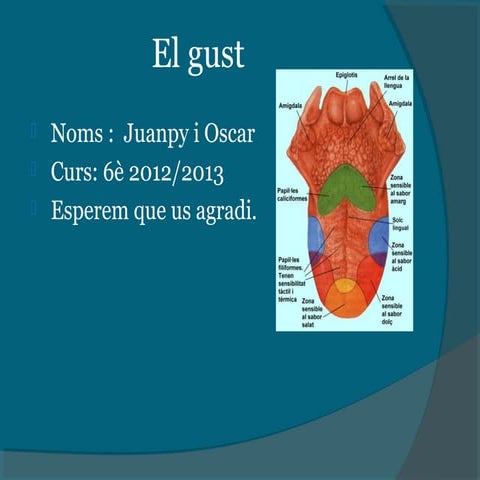 El gust | PPT