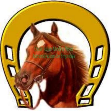 Oscar julián medina pérez