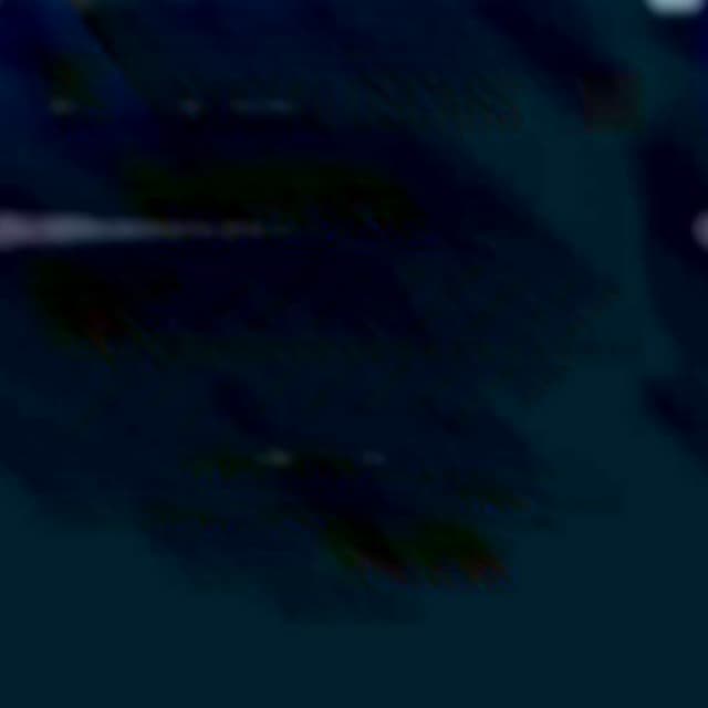 Predicting the Winners of the Oscars; the Public vs. Critics [Infographic]