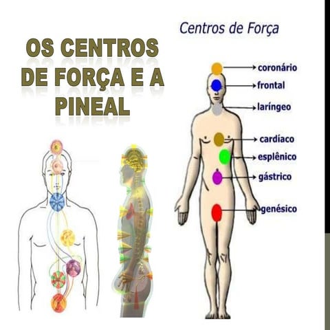 Os centros de força e a pineal