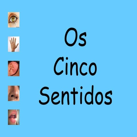 Os cinco sentidos_Paula_Zambujo