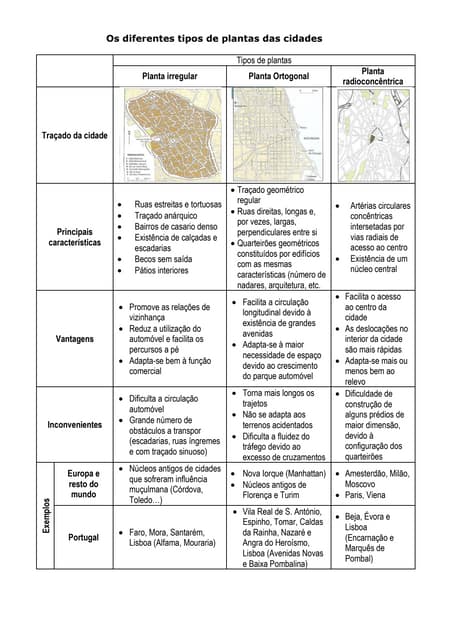 Os diferentes tipos de plantas das ...