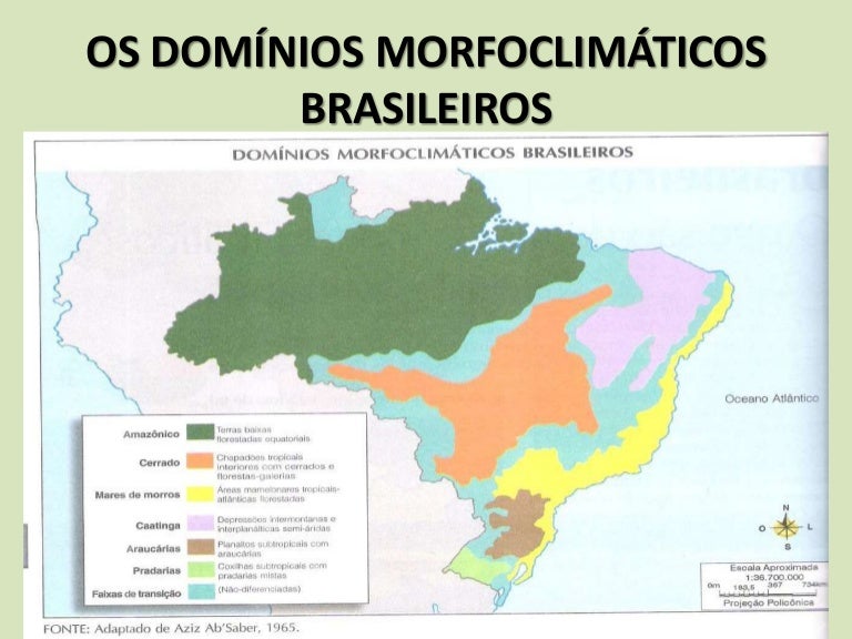 Os domínios morfoclimáticos brasileiros Os domínios morfoclimáticos brasileiros
