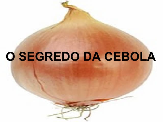 O Segredo Da Cebola