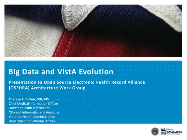 Big Data and VistA Evolution, Theresa A. Cullen, MD, MS