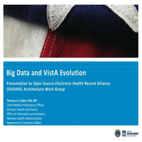 Big Data and VistA Evolution, Theresa A. Cullen, MD, MS