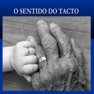 O sentido do tacto