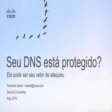O seu DNS está protegido