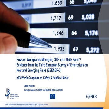 How are Workplaces Managing OSH on a Daily Basis? by Xabier Irastorza