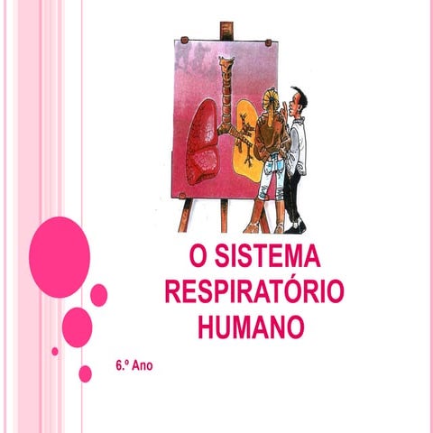 O sistema respiratório h