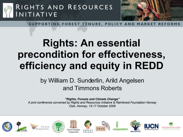 Issues of effectiveness, efficiency and equity in REDD implementation