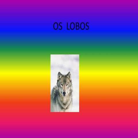Os lobos | PPTX