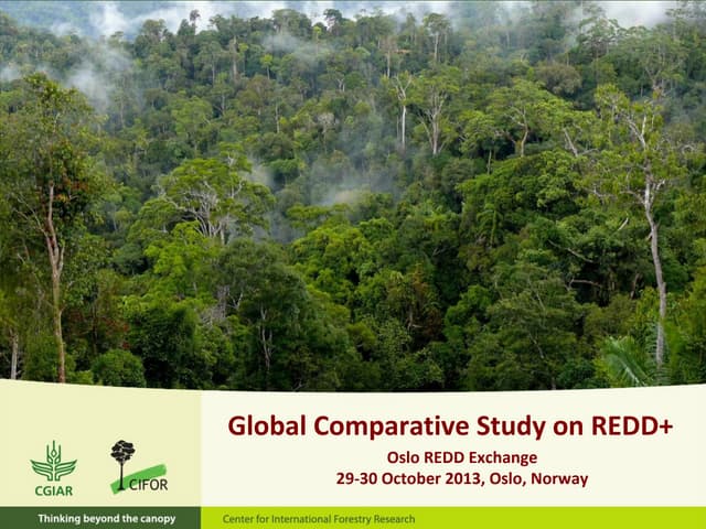 Global Comparative Study on REDD - Policy Network Analysis