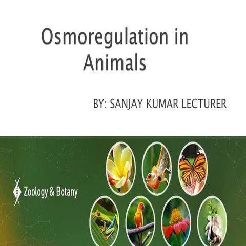 Osmoregulation in Animals